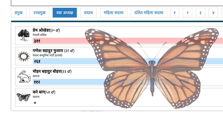 बझाङमा आफैलाई भोट नहाल्ने उम्मेदवार फेला 