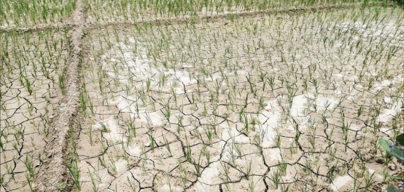 ‘आकाश हेर्दै असार बित्यो’