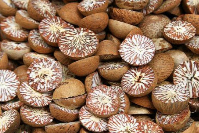 विदेशबाट सुपारी आयात बन्द गर्न झापाका किसानको माग