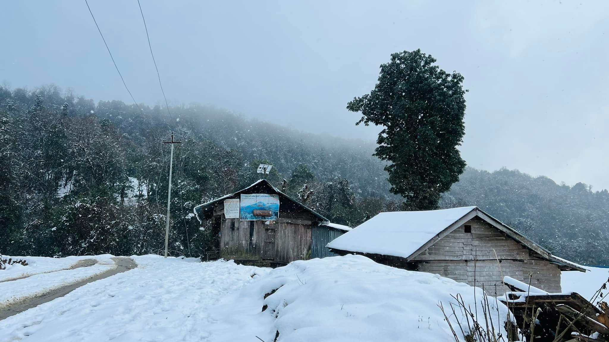 वर्षाले अलैँची खेती गर्ने किसान हर्षित