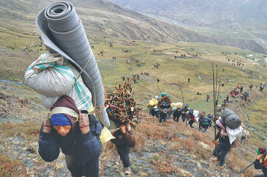 यार्सागुम्बा टिप्न हिमाली भेगतर्फ