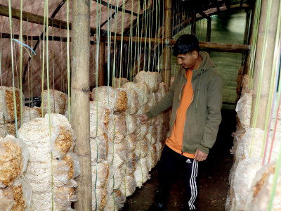 च्याउ खेतीबाट मासिक दुई लाख कमाउँदै निखिल