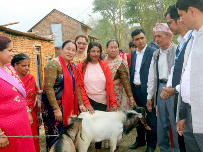 यावसायी बन्न बाख्रा