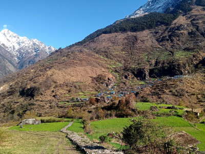 साइपालमा  खाद्य सङ्कट, सिंहदरबार नधाएर पुग्दैन चामल