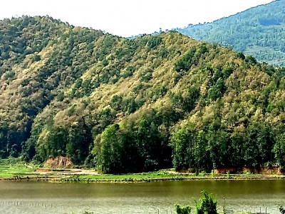 अझै हुन सकेन ‘हरियो वन, नेपालको धन’
