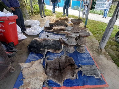 वन्यजन्तुको आखेटोपहार चितवन पठाउने तयारी