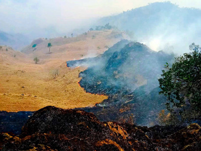 गण्डकीका चार सय ६७ स्थानमा डढेलो