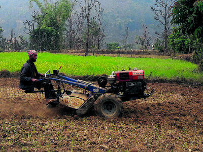 हाते ट्र्याक्टरले गोरु विस्थापित