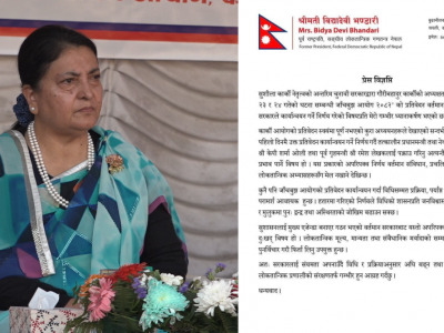 हतारमा गरिएको निर्णयले अस्थिरता बढाउन सक्छ : पूर्वराष्ट्रपति भण्डारी