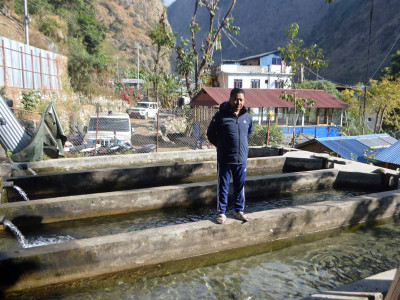 राजनीतिसँगै व्यावसायिक माछापालनमा रमाउँदै गुरुङ