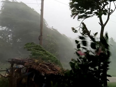 हावाहुरीले चितवनमा तीन जनाको मृत्यु