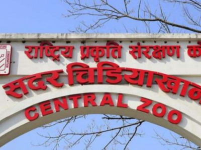 सदर चिडियाखानाको आम्दानी बढ्यो