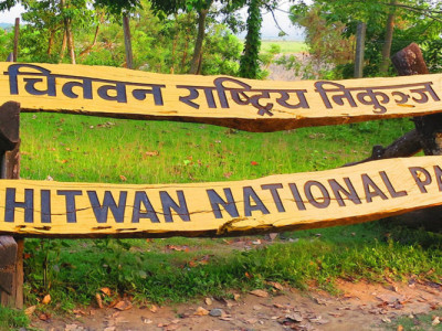 निकुञ्जमा नमूना घाँसे मैदान बनाउने तयारी
