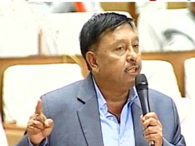 एनआरएनहरुलाई भिसा दिने प्रावधान गलत: सांसद गिरी