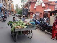 अव्यवस्थित ठेलागाडा हटाउन थालियो