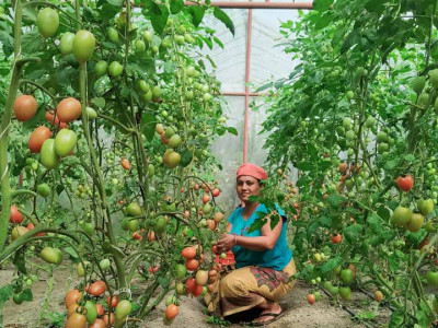 समृद्धिको खोजीमा म्याग्दीका किसान