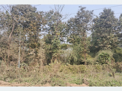 सामुदायिक वनमा महिला नेतृत्वको सफल अभ्यास