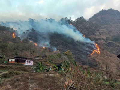 जङ्गलमा डढेलो लागेपछि गाउँ पसे जनावर