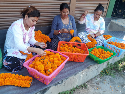 तिहारमा १५ करोड रुपैयाँको फूलको कारोबार