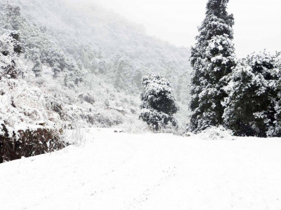 आजको मौसम: उच्च पहाडी तथा हिमाली भू–भागका केही स्थानमा वर्षासँगै हल्का हिमपात