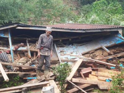 इलामलाई ३ महिना संकटग्रस्त क्षेत्र घोषणा