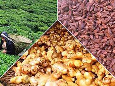 पूर्वीनाकाबाट बढ्यो कृषिजन्य वस्तुको निर्यात