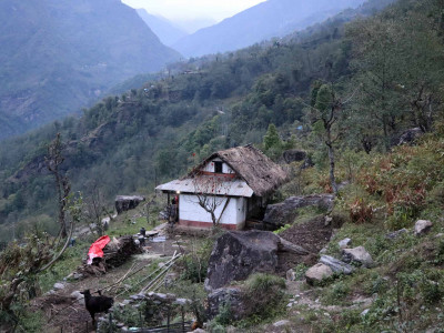 हावाहुरीसँगै वर्षा हुन थालेपछि...
