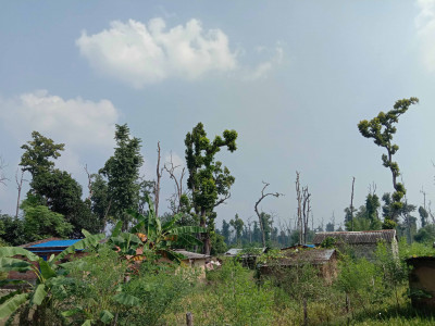 भोट बैंकको रुपमा सुकुम्वासी शिविर