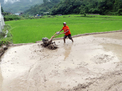 गाउँगाउँमा पुग्यो ट्र्याक्टर, गोरु पाल्न छोड्दै किसान