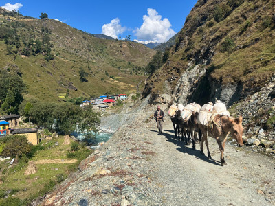 सडक मर्मत नहुँदा खच्चडकै सहारा