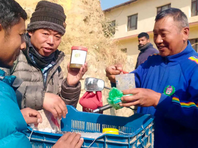 खोटाङमा किबीको जाम उत्पादन सुरु