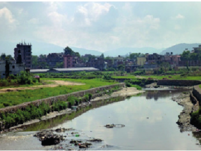 मनोहरा नदीको तट आसपास ८४ प्रजातिका चरा भेटिए