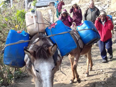 दूधमा आत्मनिर्भर बन्यो काभ्रे