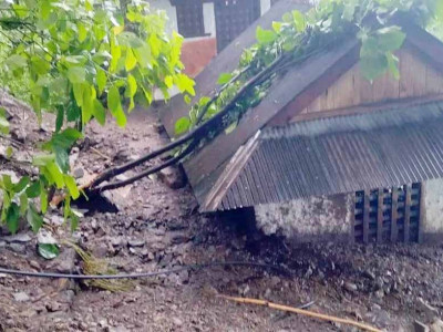 ताप्लेजुङमा बाढीपहिरोबाट ८१ परिवार विस्थापित
