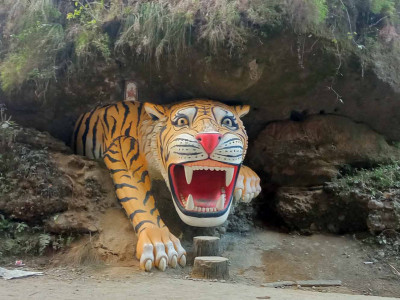 पर्यटक लोभ्याउँदै बाघको मूर्ति