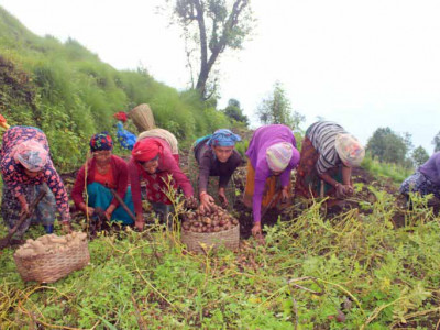 हराउँदै अर्मपर्म