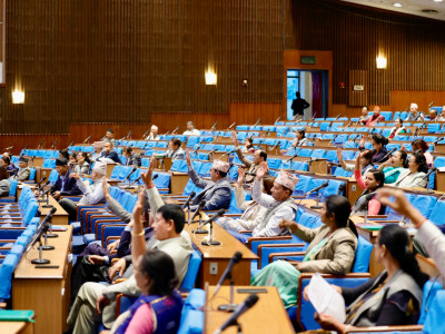 प्रतिनिधिसभाबाट संघीय निजामती सेवा विधेयक पारित