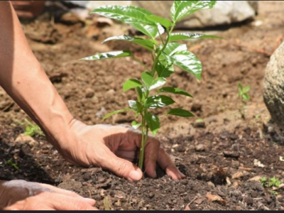 आज युद्ध र सशस्त्र द्वन्द्वमा वातावरणको दुरुपयोग रोक्ने अन्तर्राष्ट्रिय दिवस