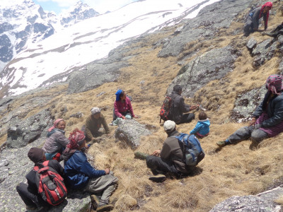 मुगुमा जडिबुटीबाट ९३ लाख रुपैंयाँ राजश्व संकलन