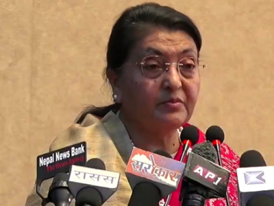 कला र साहित्यले विश्वव्यापी भाइचारालाई मजबुत बनाउँछ : पूर्वराष्ट्रपति