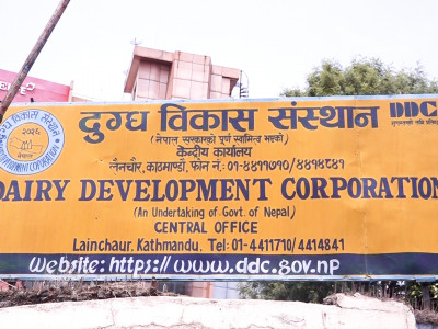 निजी क्षेत्रको आक्रामक बजार विस्तारले डीडीसीलाई अस्तित्व जोगाउन हम्मे
