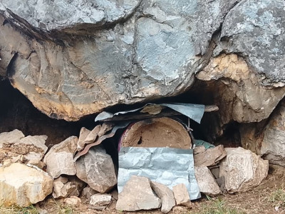 भिर पाखामा राखिएका लोपन्मुख मौरी घार (तस्बिरहरु)