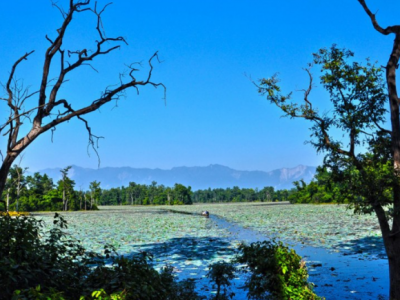 आज विश्व सिमसार दिवस विश्वभर विभिन्न कार्यक्रम गरि मनाइँदै