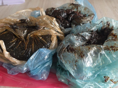 २ किलो लागूऔषध अफिम जस्तो देखिने पदार्थसहित दुई जना पक्राउ