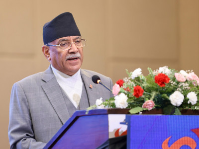 ‘सरकारले दुई तिहाई बहुमतको दम्भमा कुलमानलाई हटाउने गलत निर्णय गरेको छ’