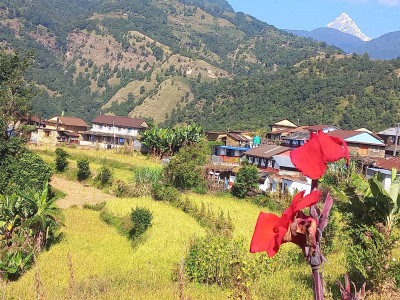 महानगरबासीलाई वडा कार्यालय पुग्नै सास्ती