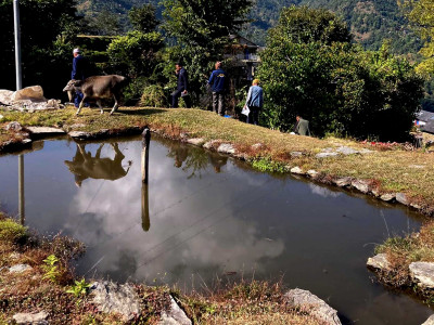भेटिँदैनन् अचेल कुवा र पोखरी