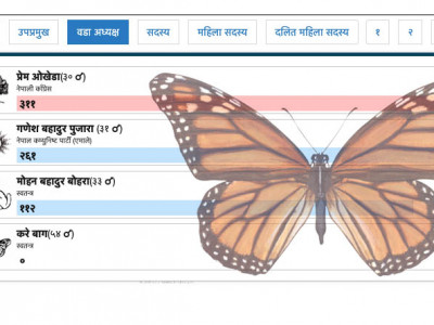 बझाङमा आफैलाई भोट नहाल्ने उम्मेदवार फेला 