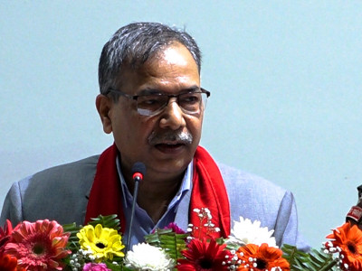वन संरक्षण सम्बन्धि नीति तथा कार्यक्रम तर्जुमा गरी कार्यान्वयन आवश्यक’