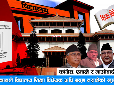 कांग्रेस, एमाले र माओवादीकै अडानले विद्यालय शिक्षा विधेयक अघि बढ्न नसकेको खुलासा ।। EDUCATION SYSTEM